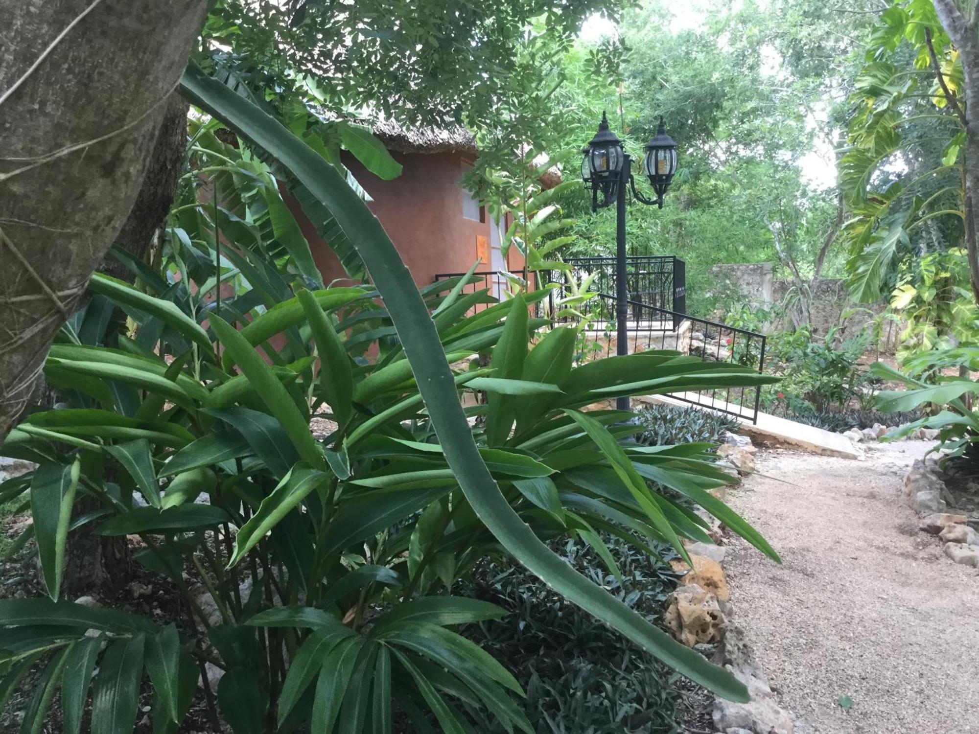The Pickled Onion And Restaurant Uxmal Bed & Breakfast Santa Elena