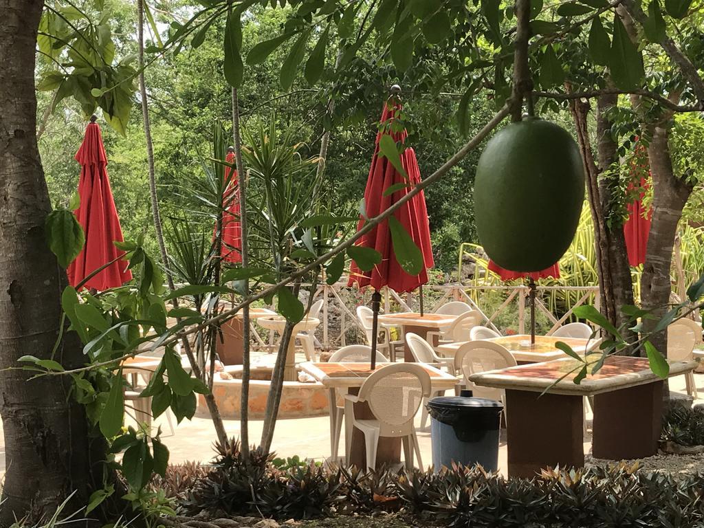 Bed & Breakfast The Pickled Onion And Restaurant Uxmal 3*