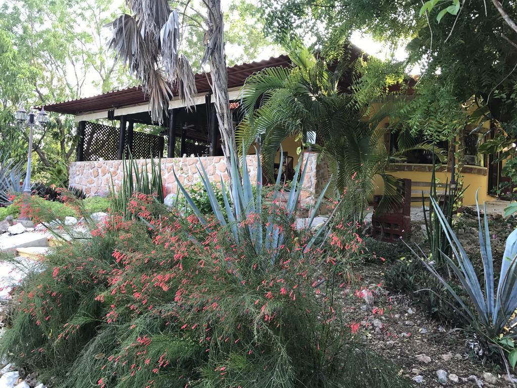 Alojamento de Acomodação e Pequeno-almoço The Pickled Onion And Restaurant Uxmal