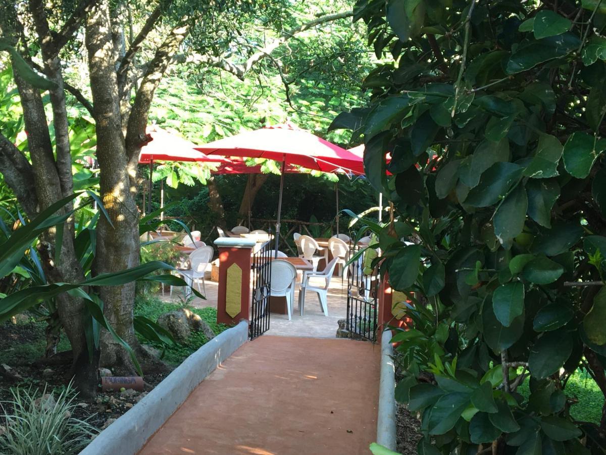 Bed & Breakfast The Pickled Onion And Restaurant Uxmal Santa Elena