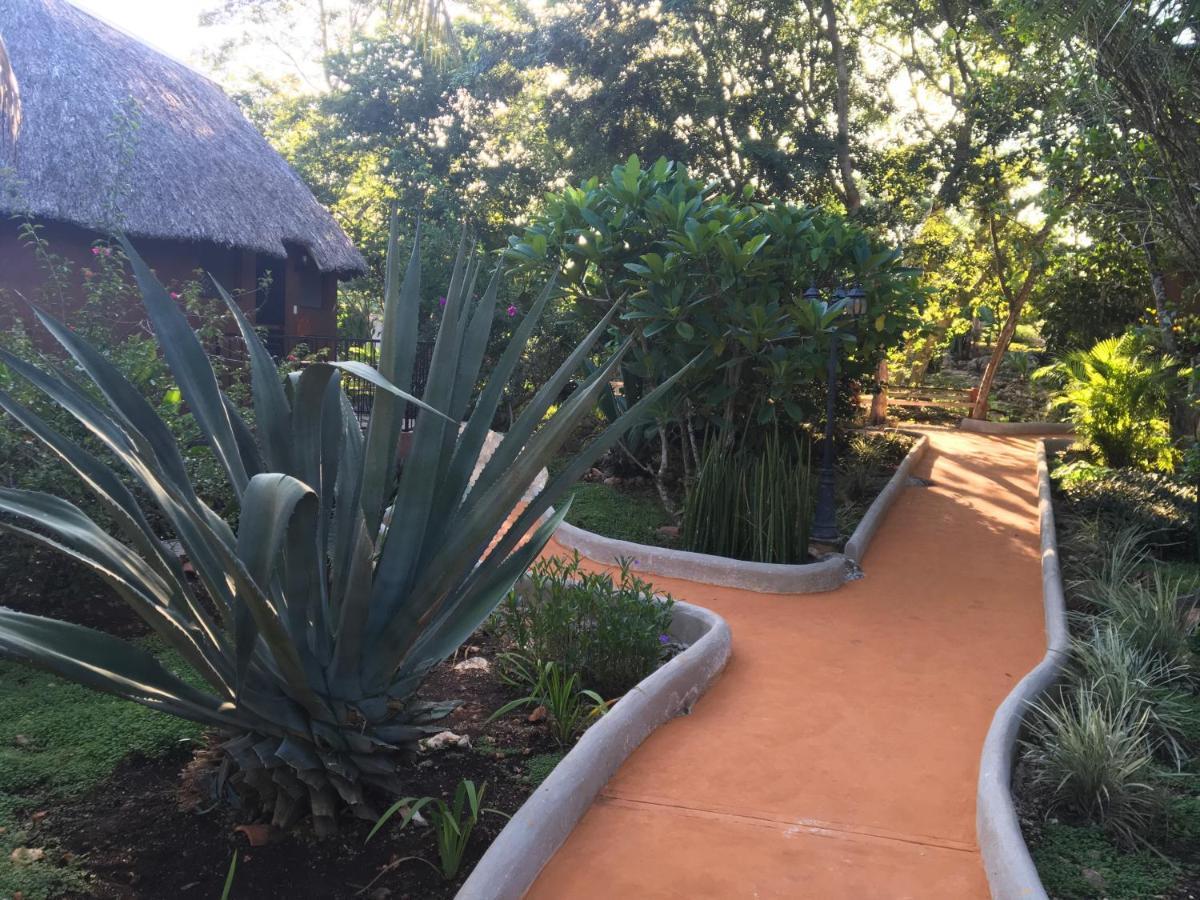 Bed & Breakfast The Pickled Onion And Restaurant Uxmal Santa Elena
