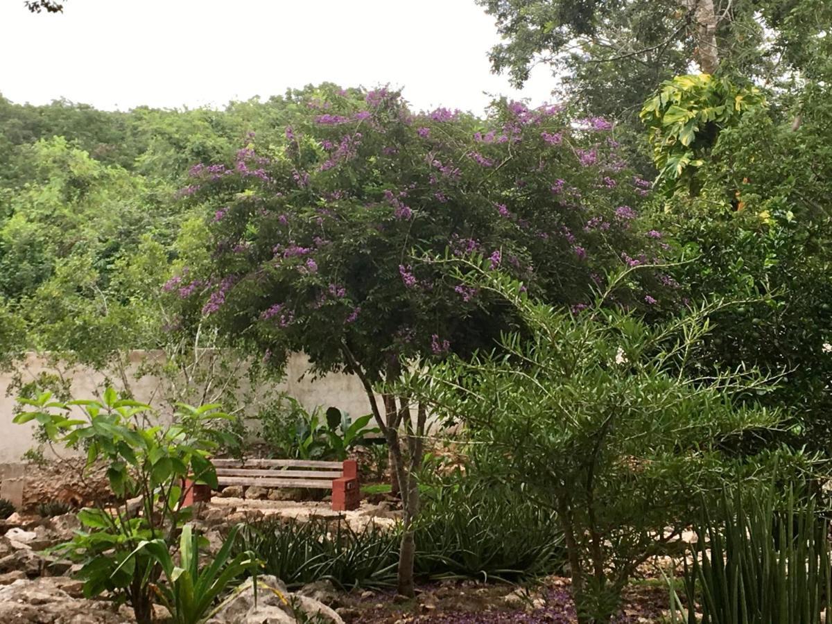 The Pickled Onion And Restaurant Uxmal Bed & Breakfast Santa Elena
